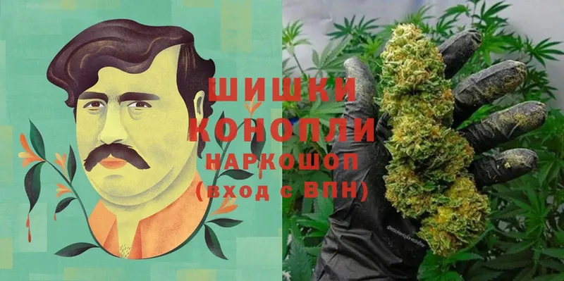 Конопля Ganja  Бологое 